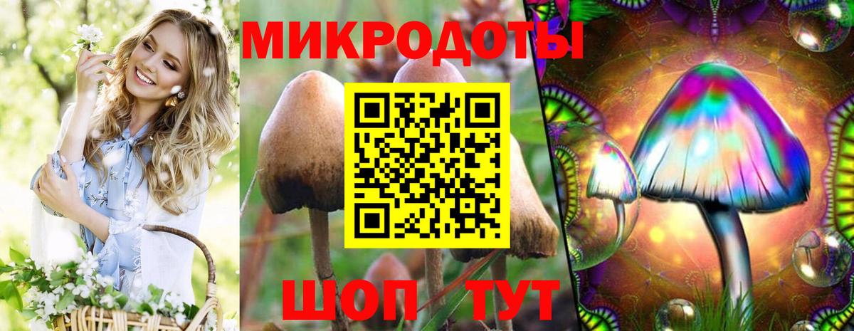 Псилоцибиновые грибы MAGIC MUSHROOMS Ульяновск