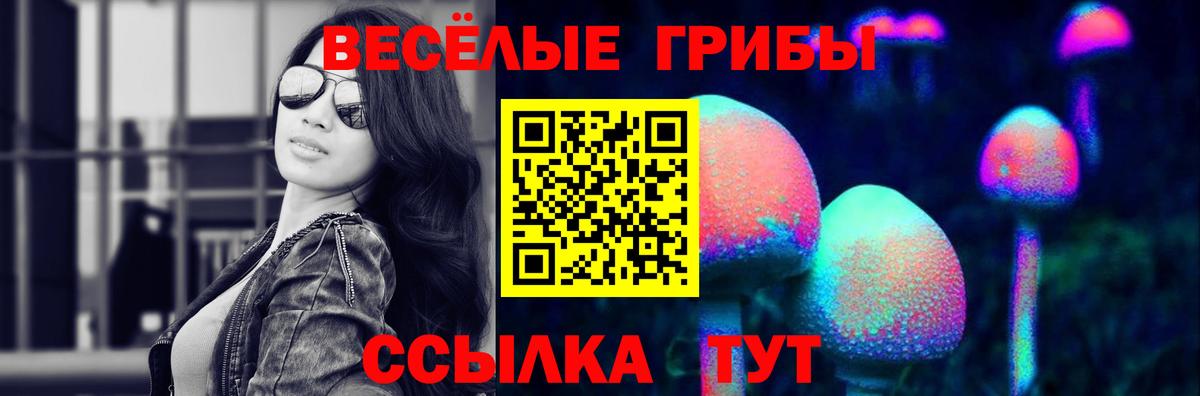 Галлюциногенные грибы мицелий  Вход с VPN  Ульяновск  Псилоцибиновые грибы прущие грибы 